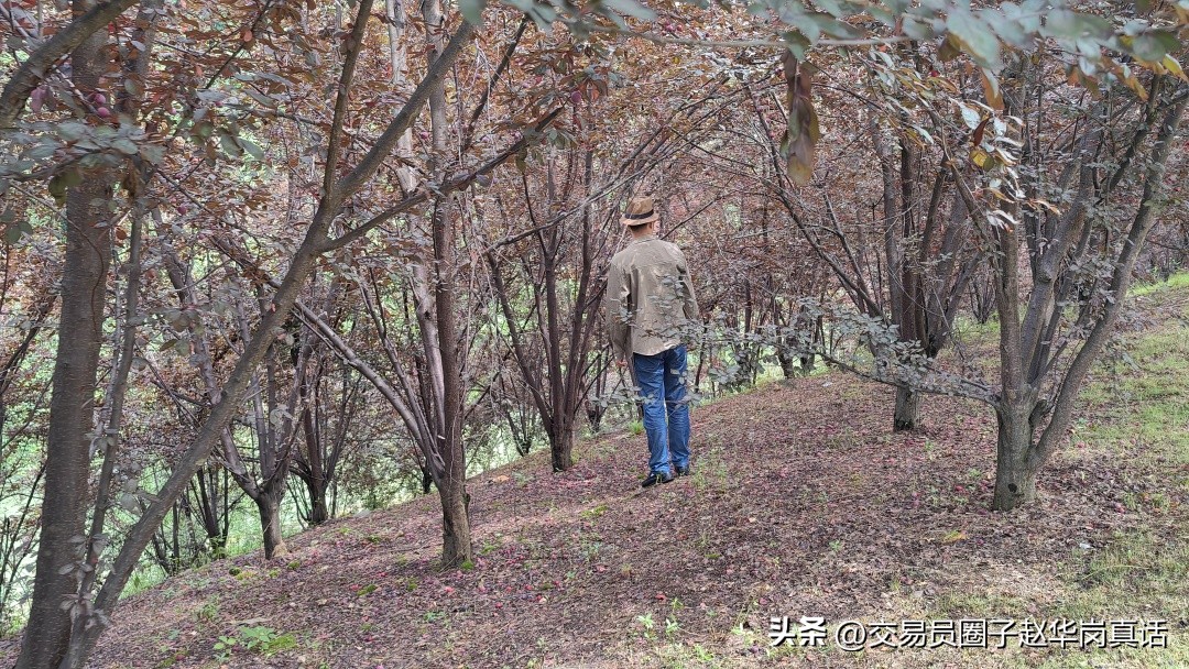 我的交易之道,交易出场规则比进场规则重要