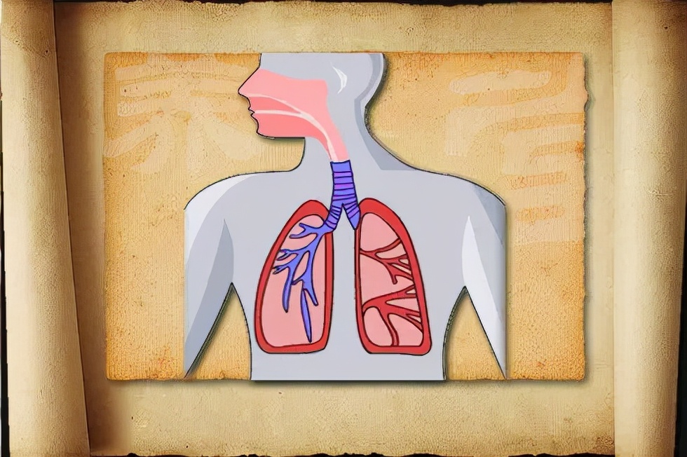 甲状腺结节痰湿型的治疗案例,爱长结节的人饮食注意点什么