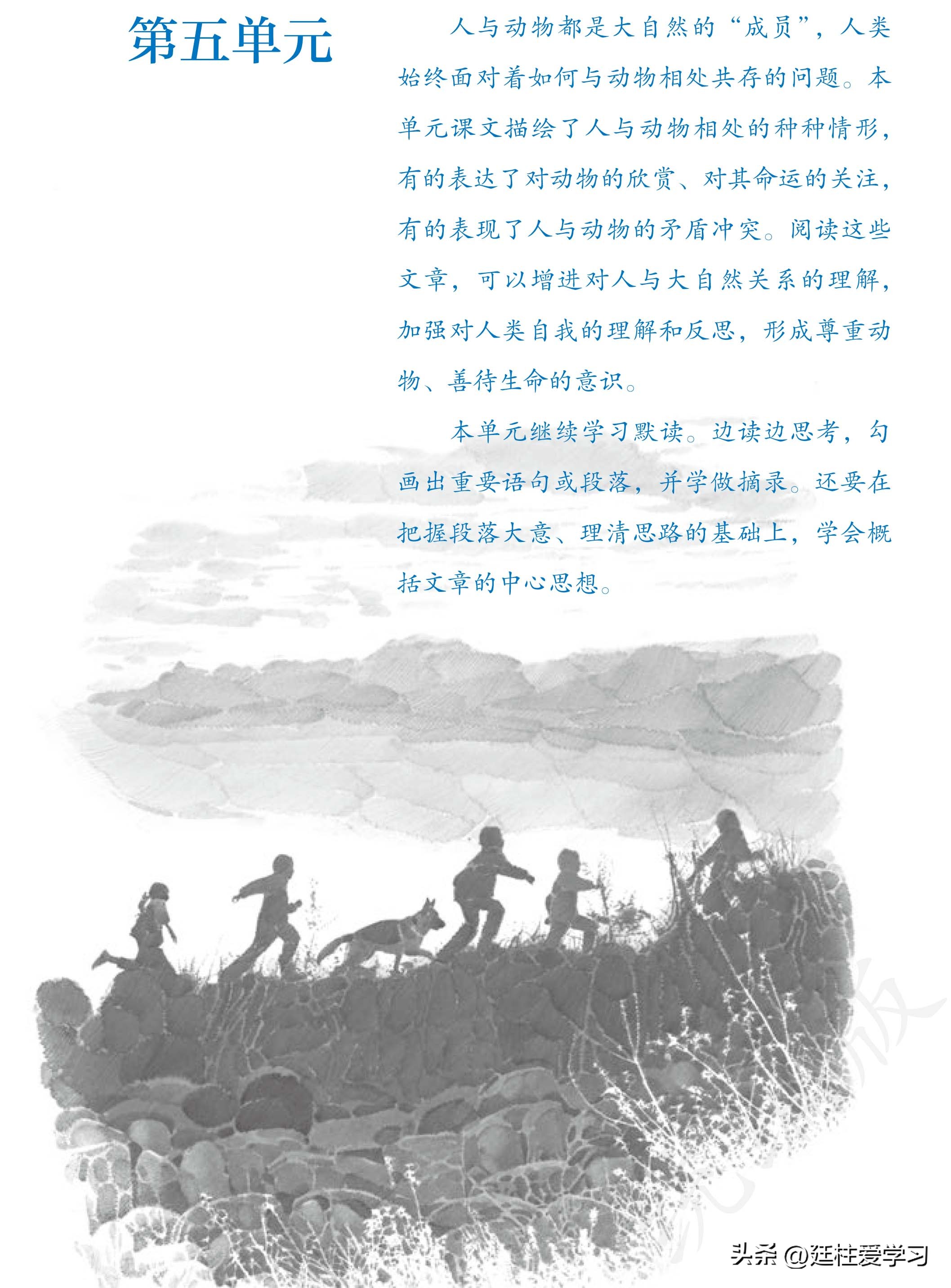 语文七年级上册电子版,语文七年级上册电子版课时练