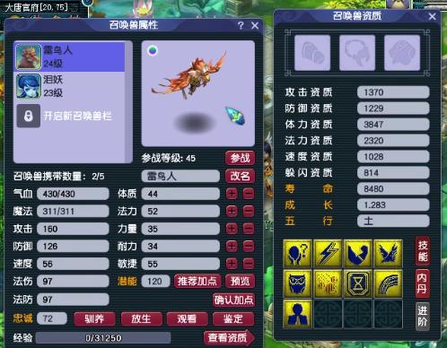 梦幻西游平民净台童子,梦幻西游净台童子教学