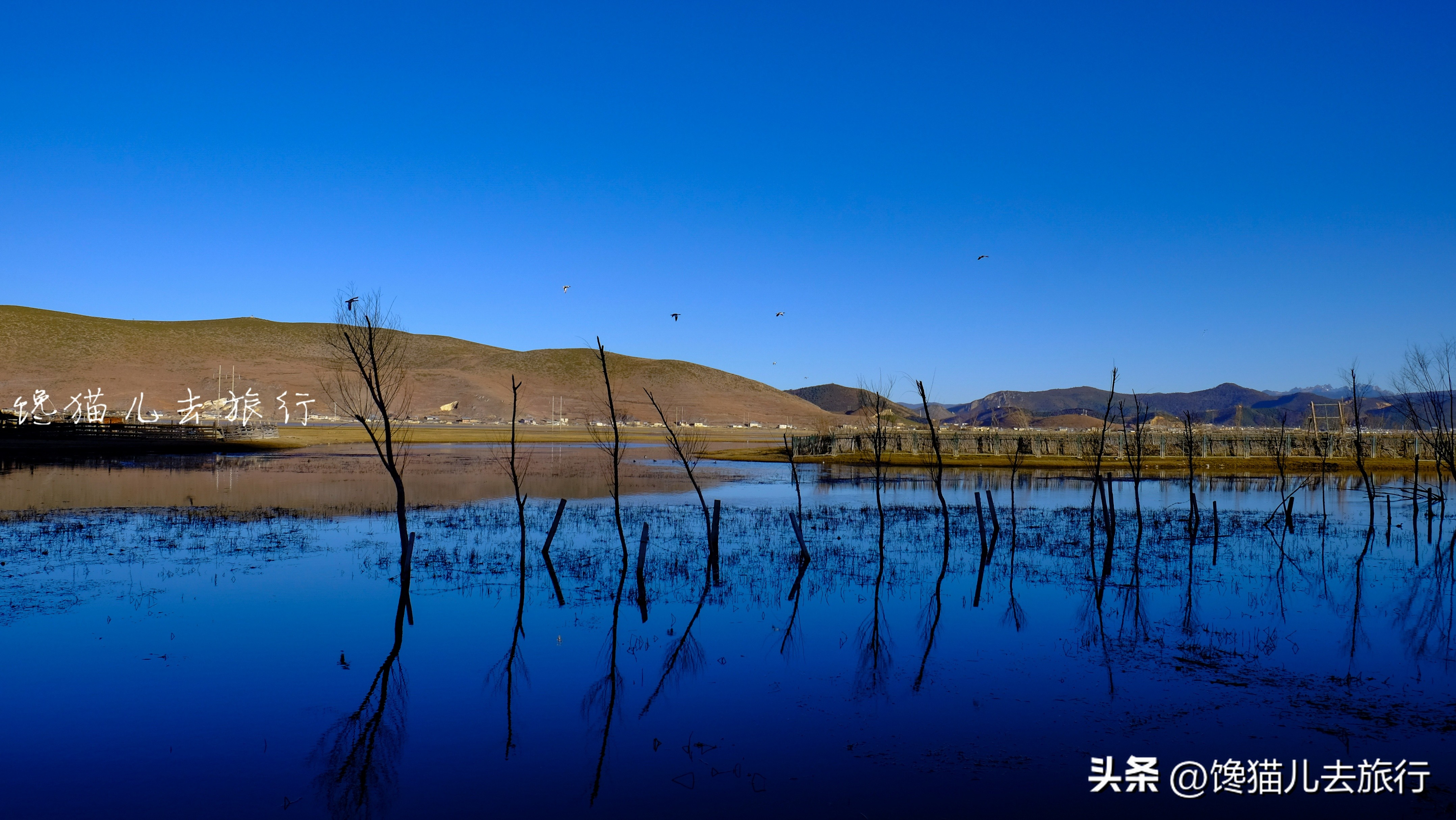 去了云南丽江却没有去香格里拉?香格里拉的景色独步国内而且多样