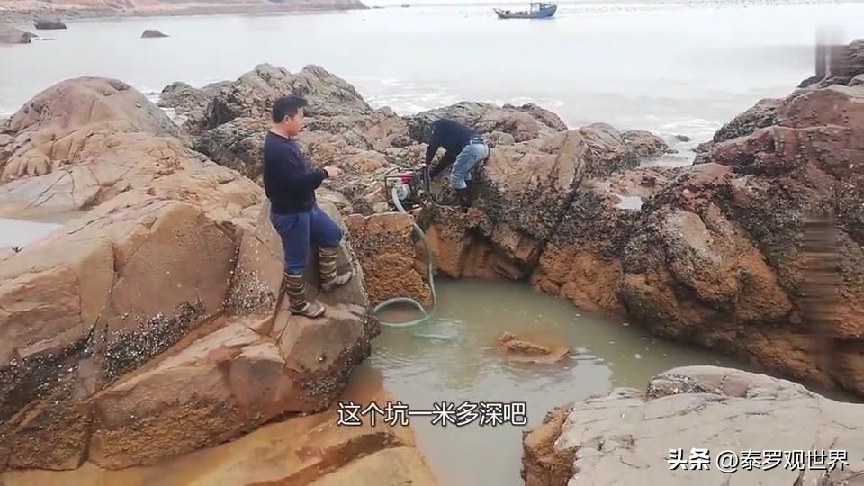 一天挖2000斤海肠？狂赚十几万？无视劝阻赶海，有人因此死亡