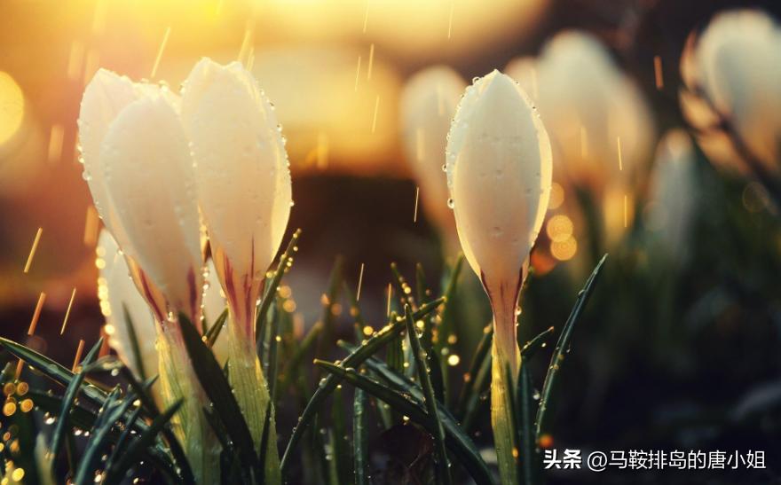 散文欣赏人生,高雅有深度的散文平凡的世界