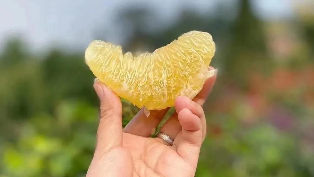 如何开水果店和开水果店注意事项,开水果店进货渠道怎么选的