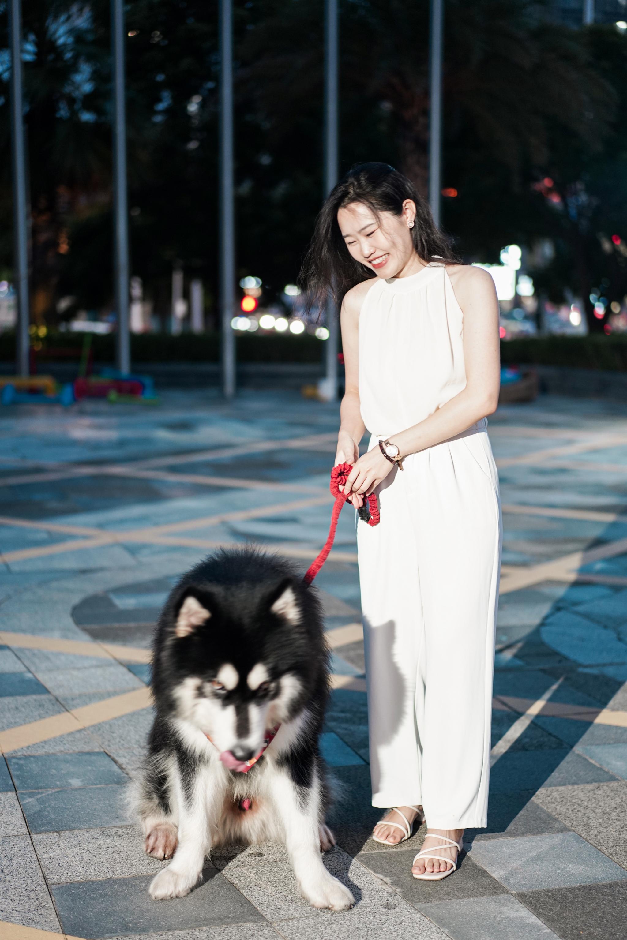 深圳机场旁的低调高雅酒店，尽享热带雨林花园，差旅入住首选酒店