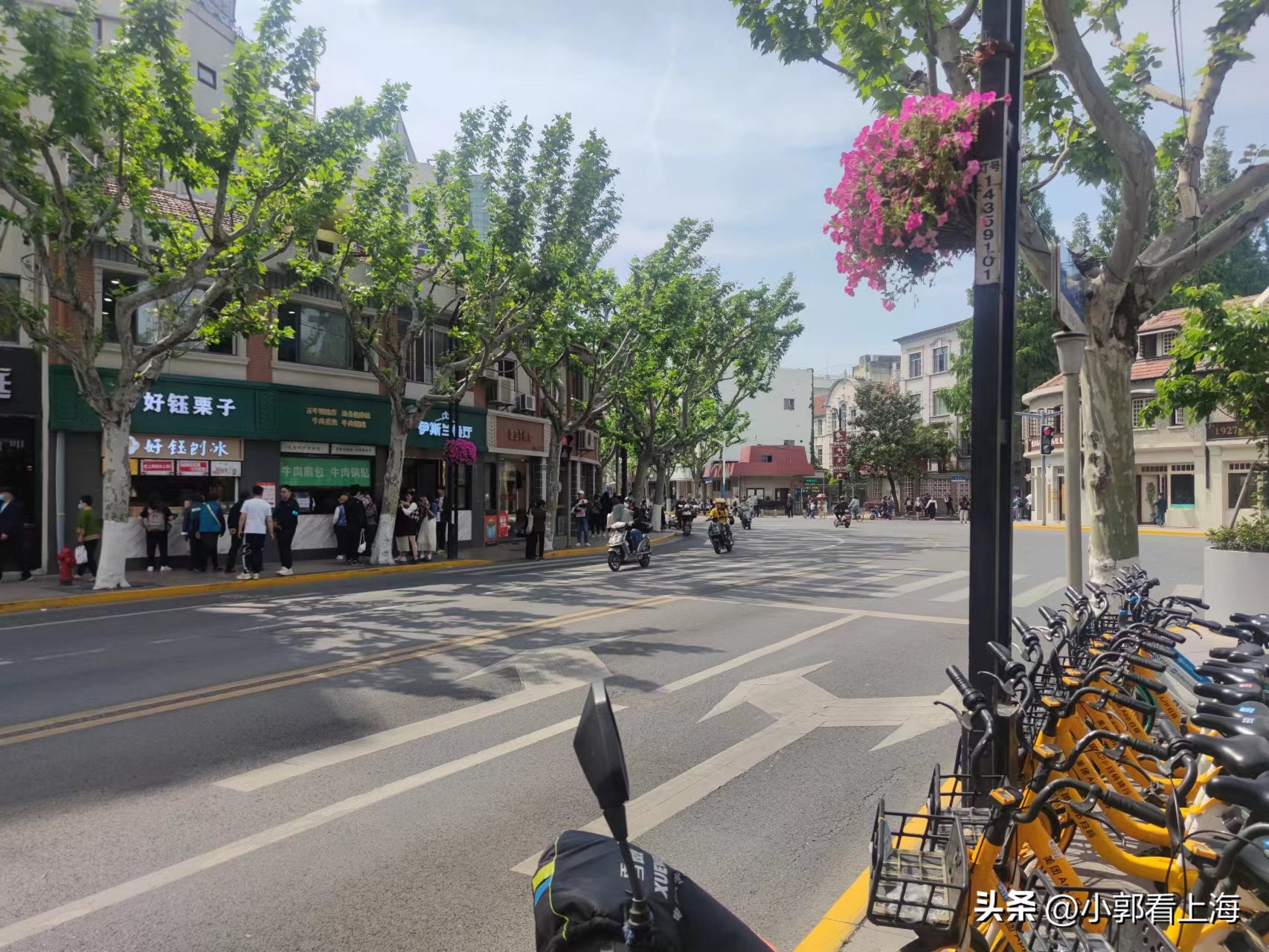 上海19和20号线虹口规划,上海19号线虹口段地铁线路图