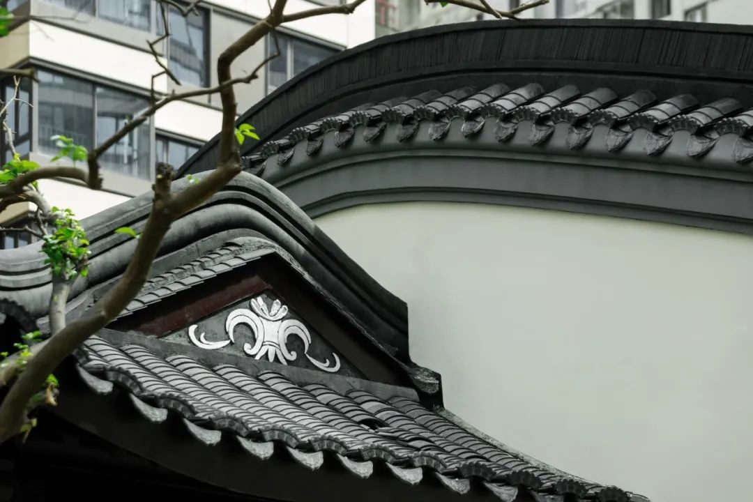 成都建发央玺未来价值,建发央玺成都宣传视频