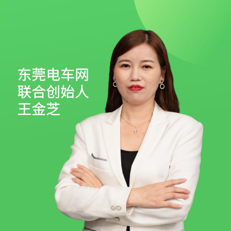 新能源纯电动汽车网约车东莞市,广东省东莞市新能源车网约车