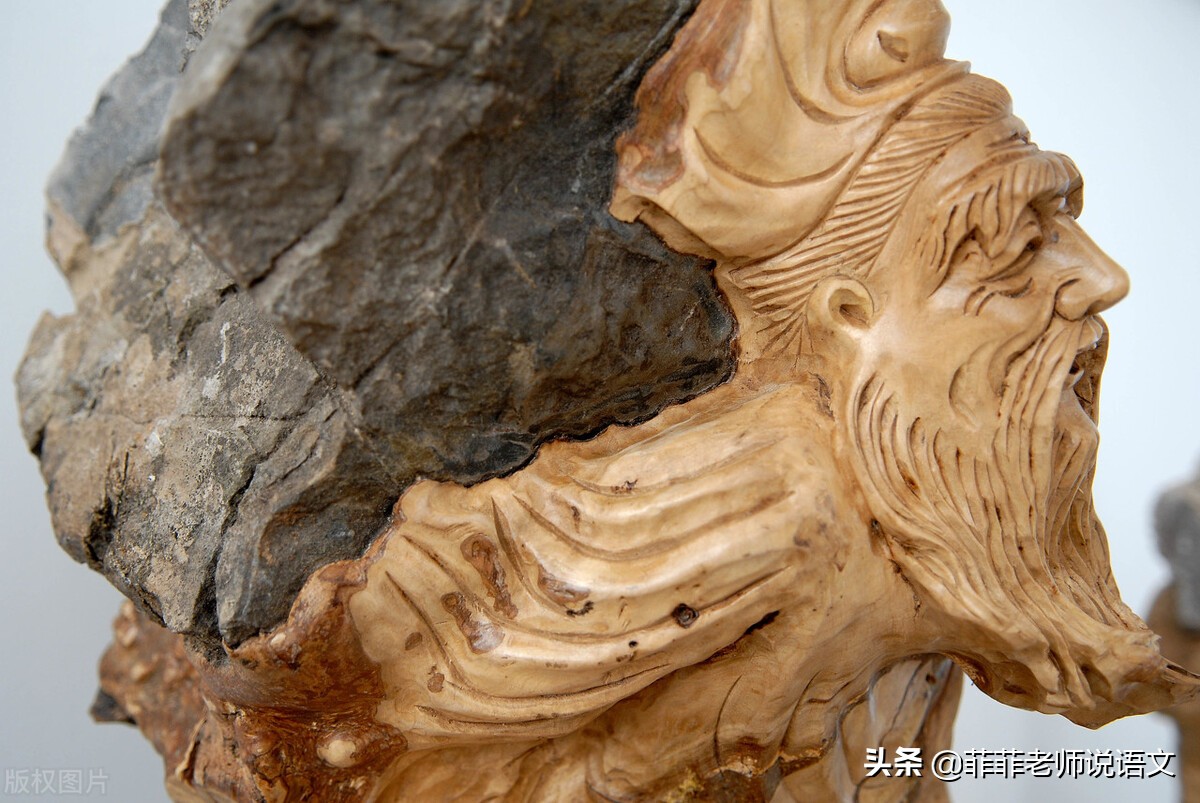 语文八年级上册第六单元,八年级上册语文六单元知识点