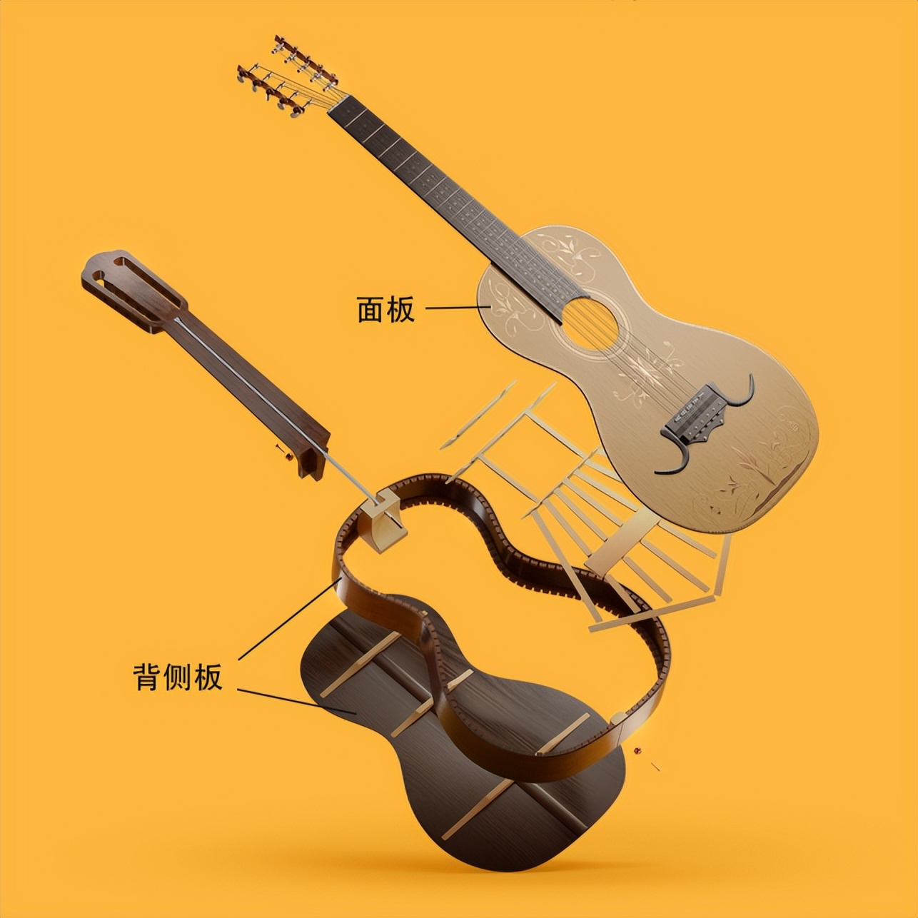 吉他背侧板,吉他怎么选择尺寸新手