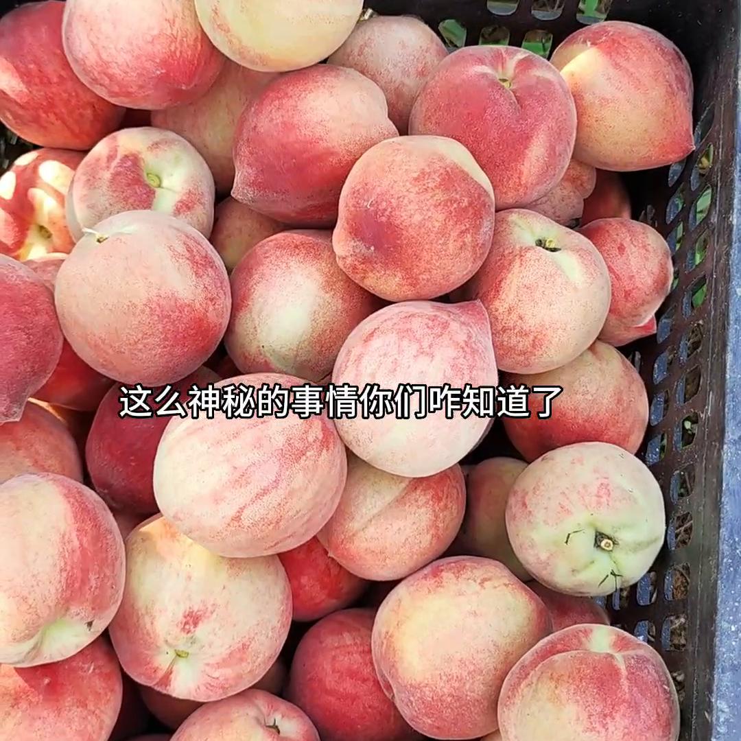 如果想要致富你应该这样做,如果你想快速赚钱就去做销售