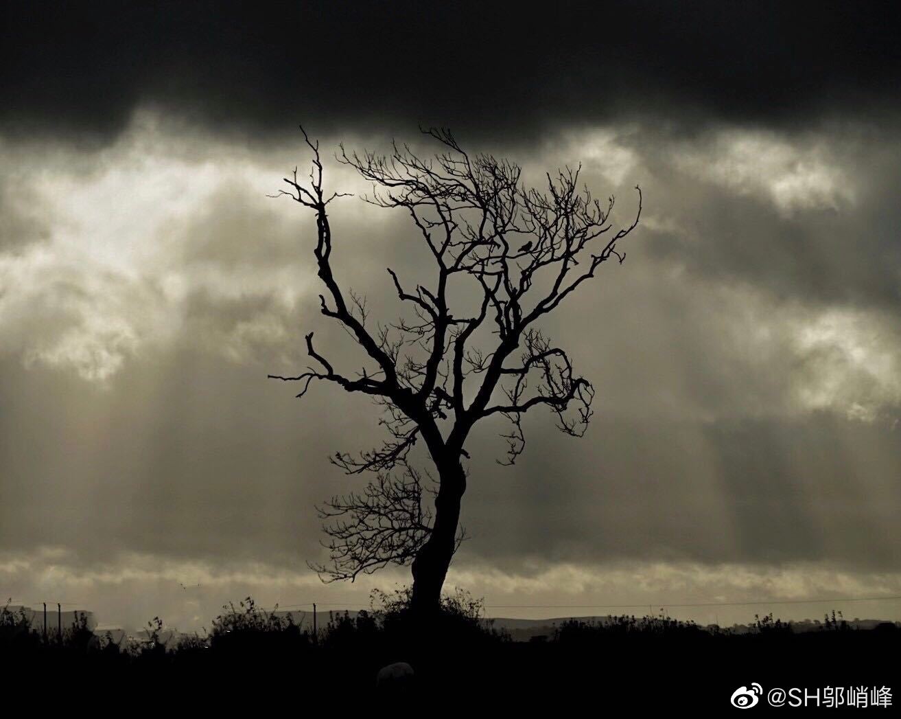 阿蒋的经历,阿蒋的真实身份