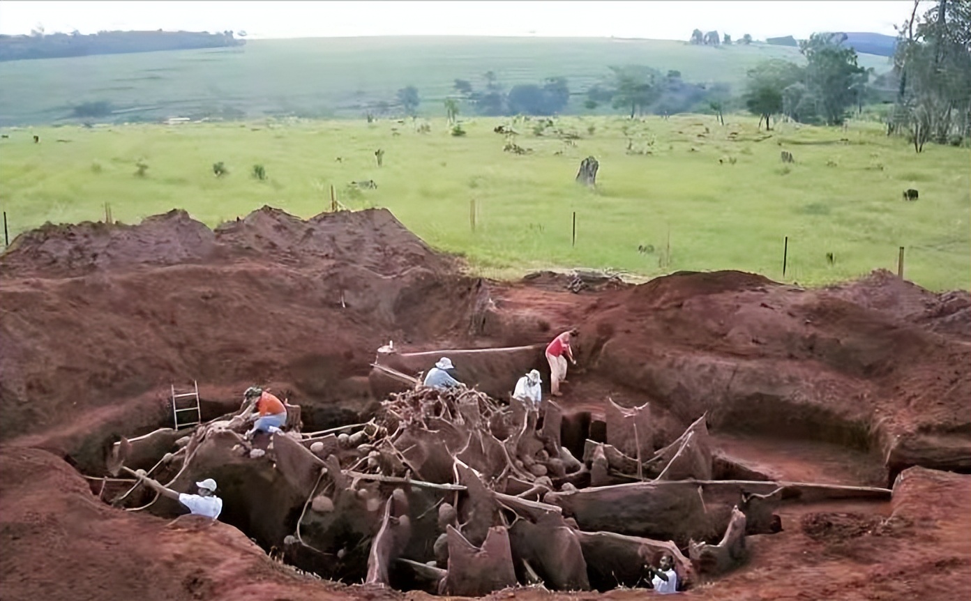 靠“种植”供养百万蚁族，天生长有金属牙齿，切叶蚁有多神奇？