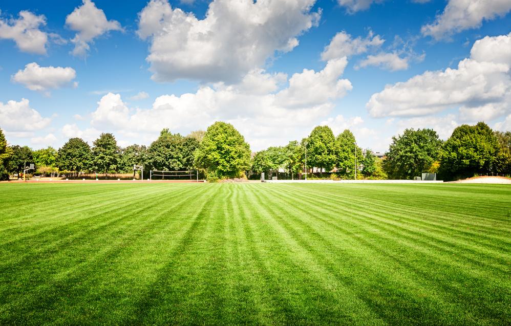 卡塔尔世界杯最奇妙回忆,卡塔尔世界杯记忆