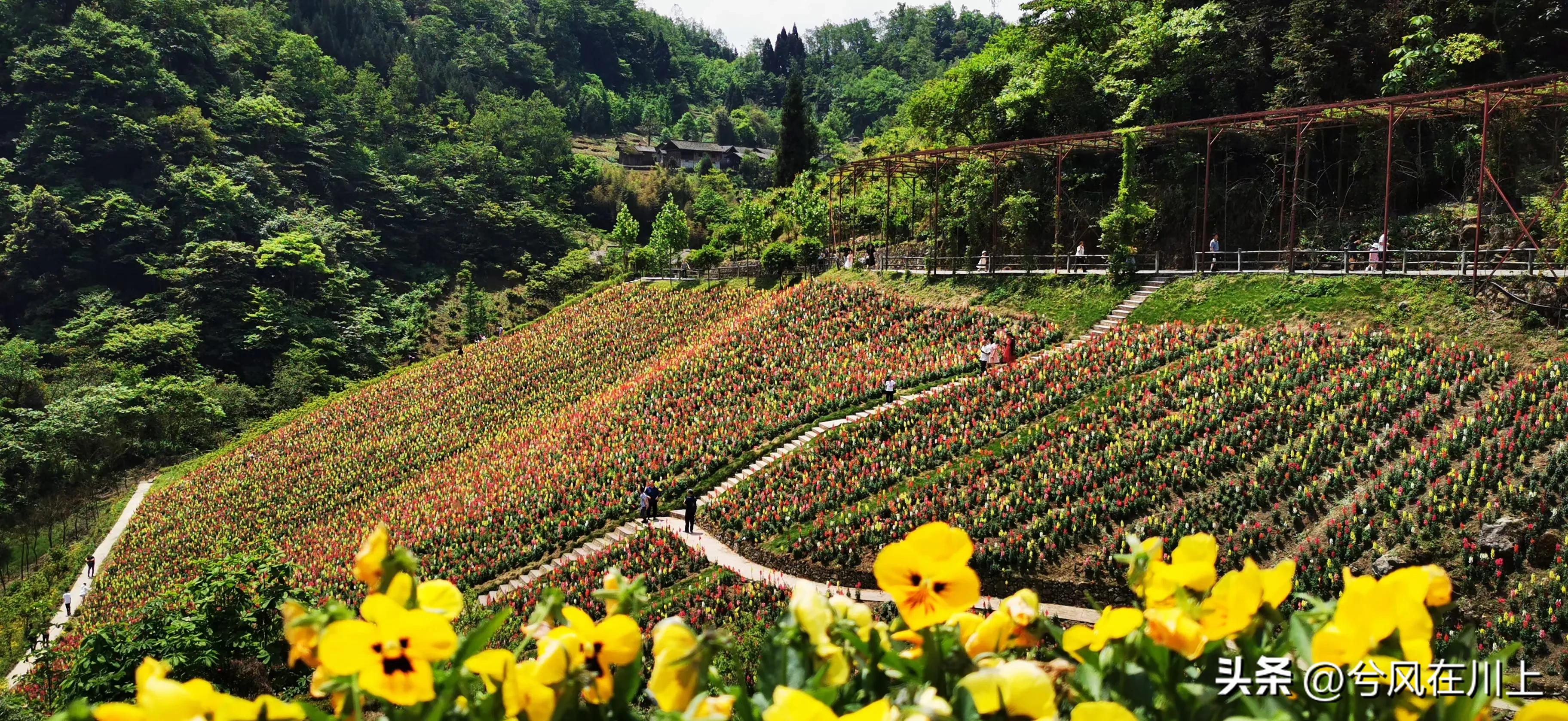 川西峡谷世外桃源,川西最美山谷