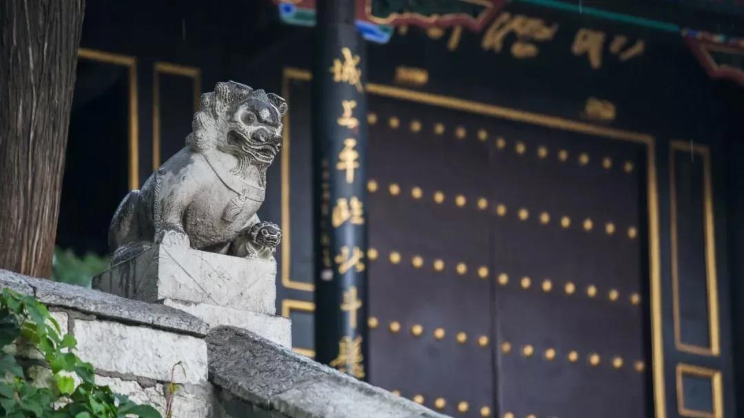 记住这100个成语你就读懂了论语,110个成语学懂论语