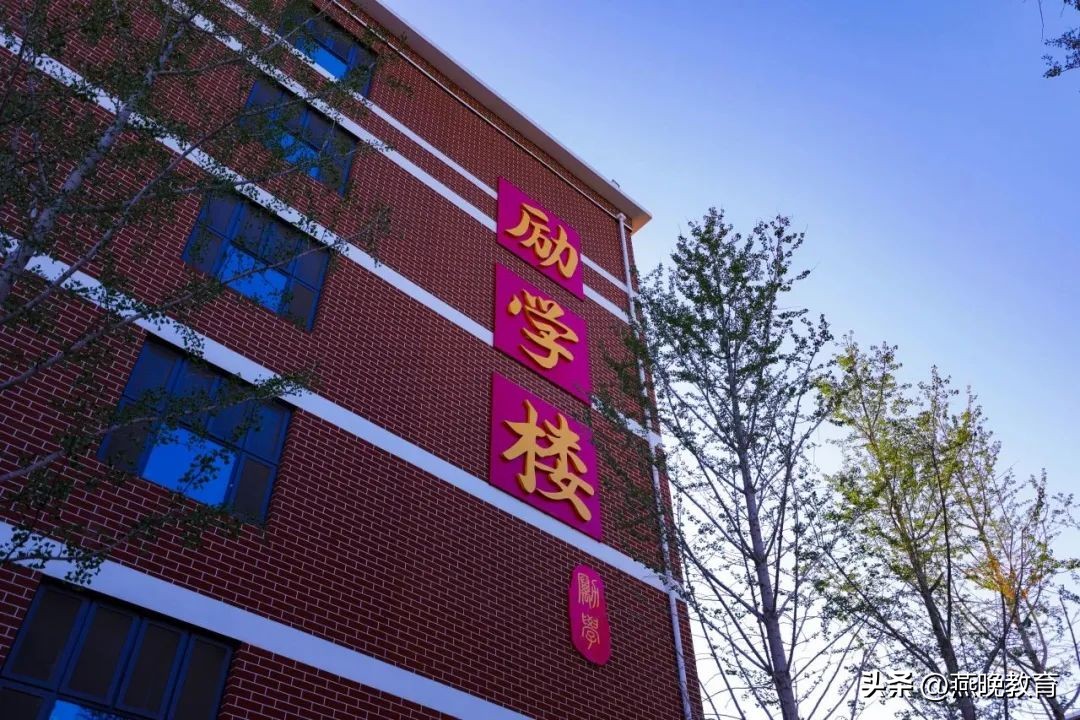 超越虎,超越虎图片