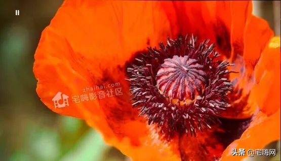 samsung三星sgh-e808,三星激光电视lsp7t和lsp9t