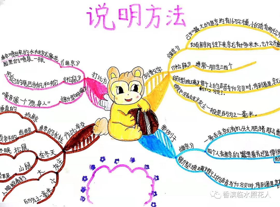 ​「五年级作文“我的心爱之物”」姜奕西《小猫》（二十四）