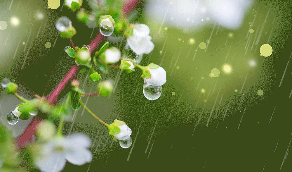 雨水哲理,雨水的好句