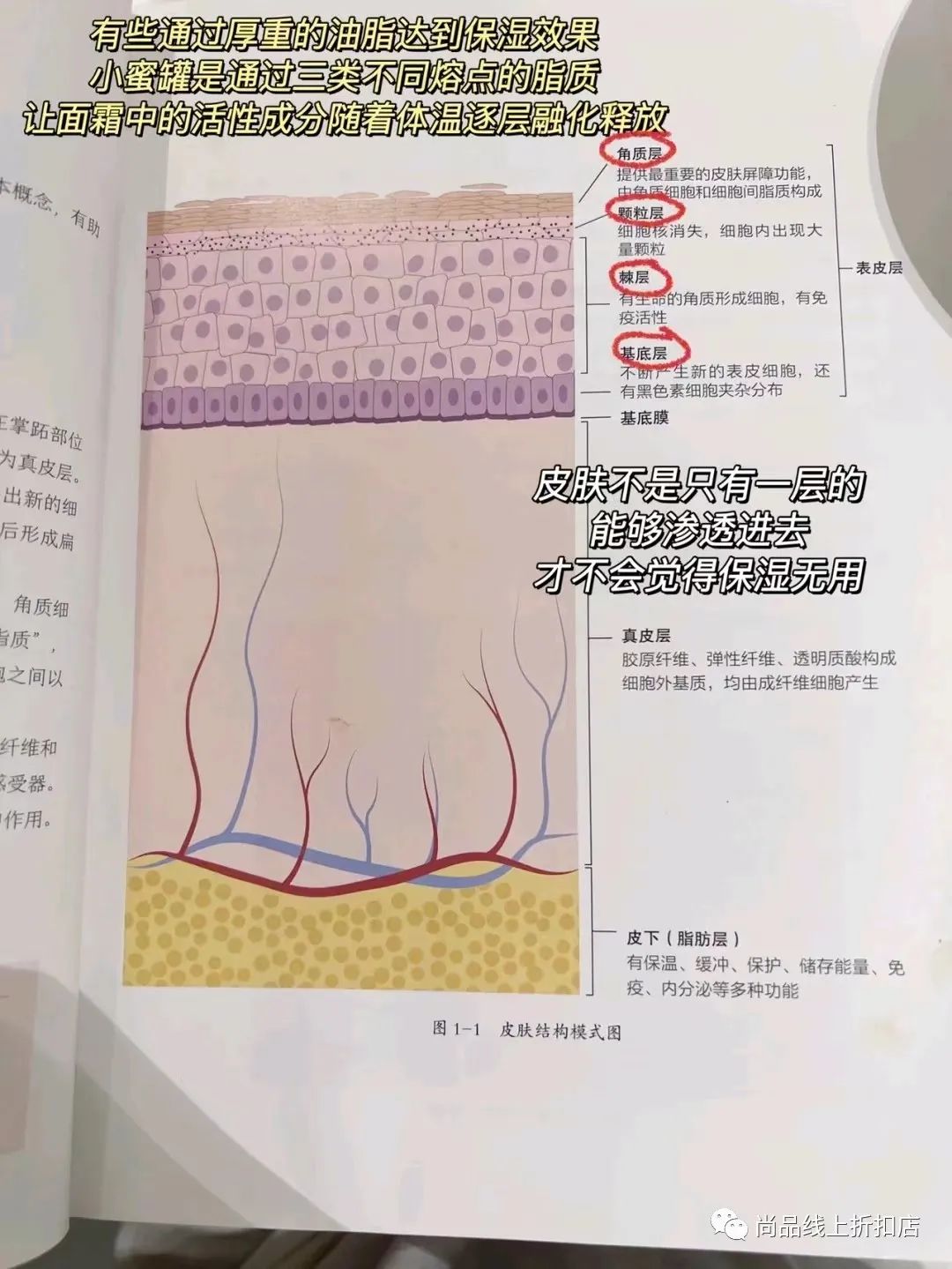 兰蔻大促双支装礼盒菁纯赠品,lancome兰蔻礼盒9.9秒杀