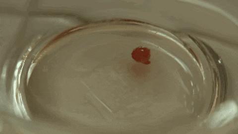 豆瓣9.0，日本乡间简素的一餐一饭，治好了无数人的“精神内耗”