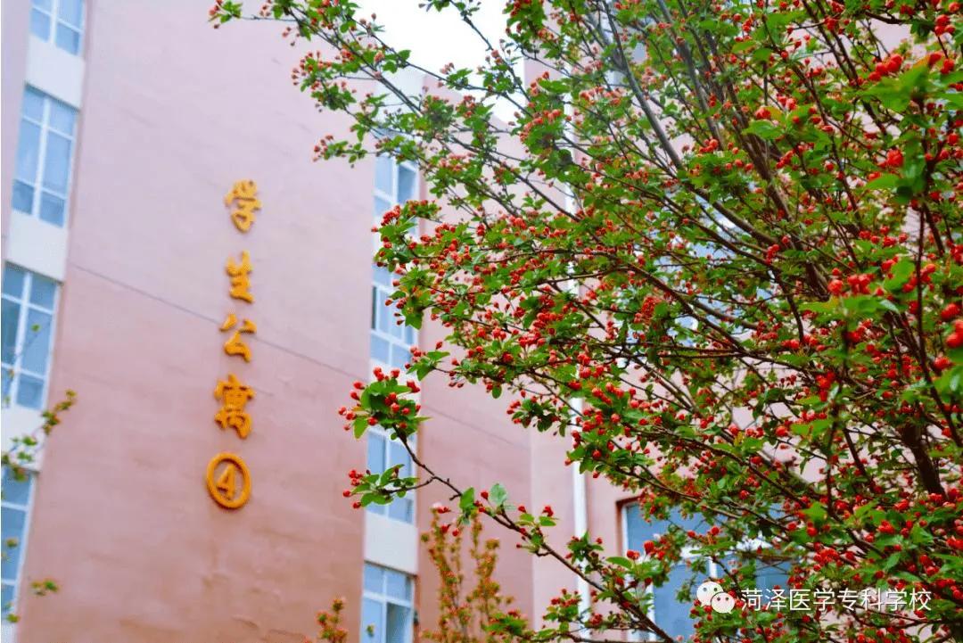 菏泽医学专科学校以前的名,菏泽医学专科学校改名