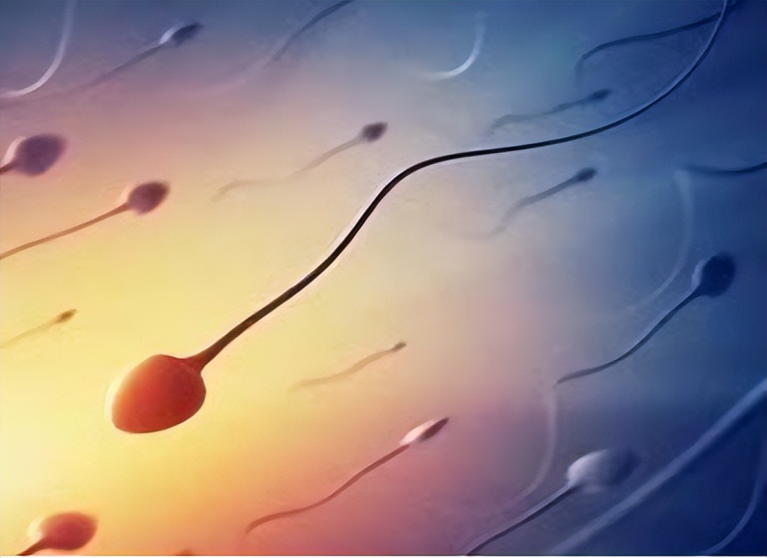 ​一滴精等于十滴血？男人要“省着”？真相到底是什么？今天揭秘