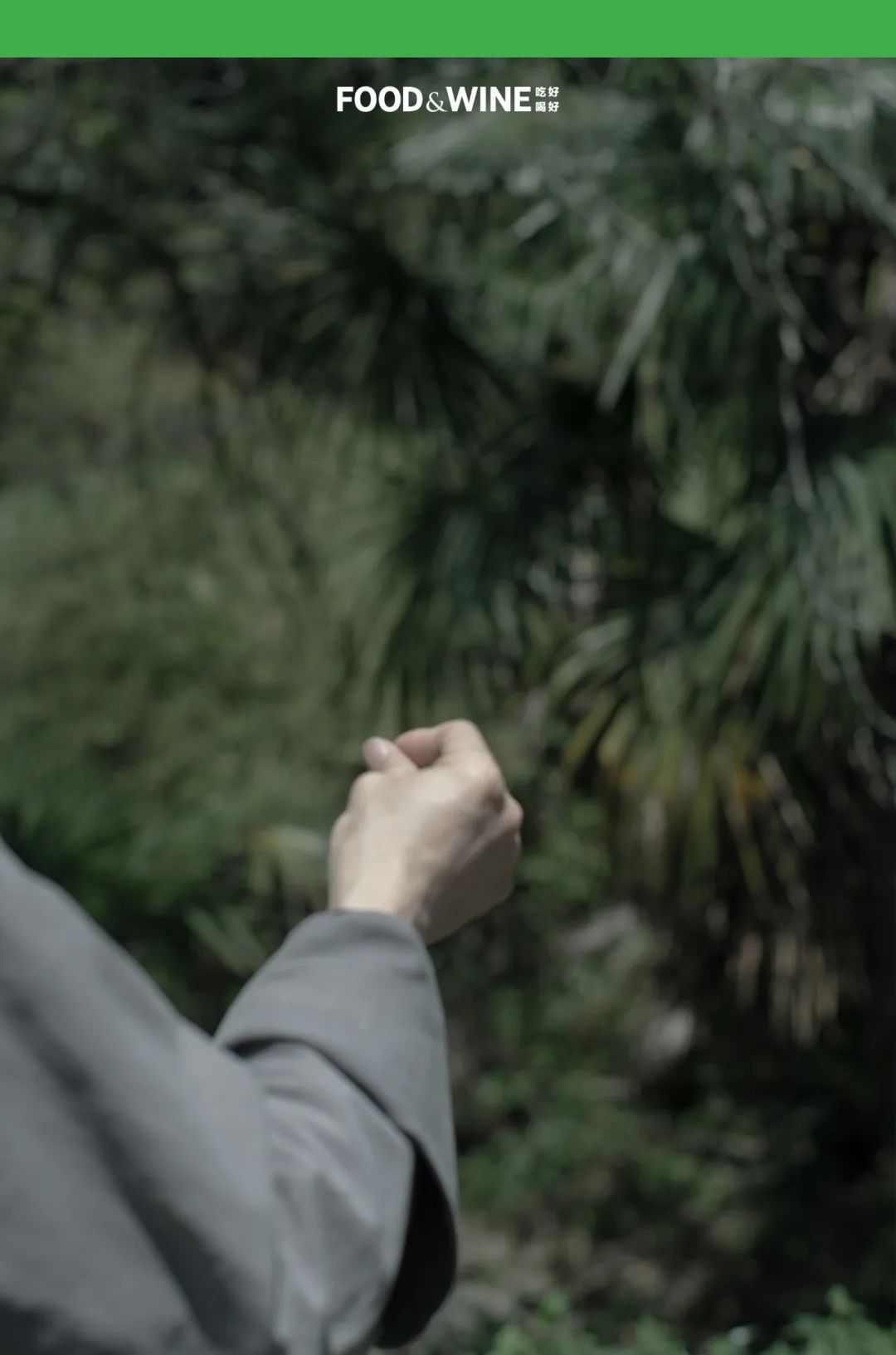 涓囧绂呭鏂嬮キ,鏅痉闀囧搴欏悆鏂嬮キ