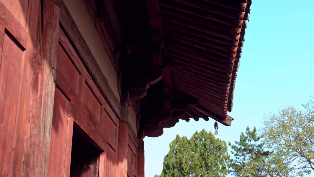 五一去山西看看美景,山西看牛视频