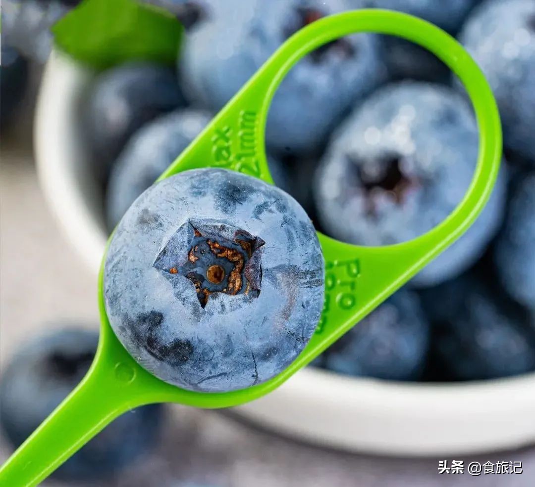 对不起蓝莓,再也不说你只能当摆盘用了
