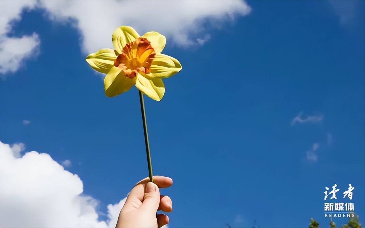 智慧过剩的年代最大的套路是真诚,智慧过剩的年代走心是一种技巧