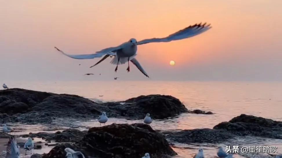 那段忘不了的记忆,那段再也回不去的记忆