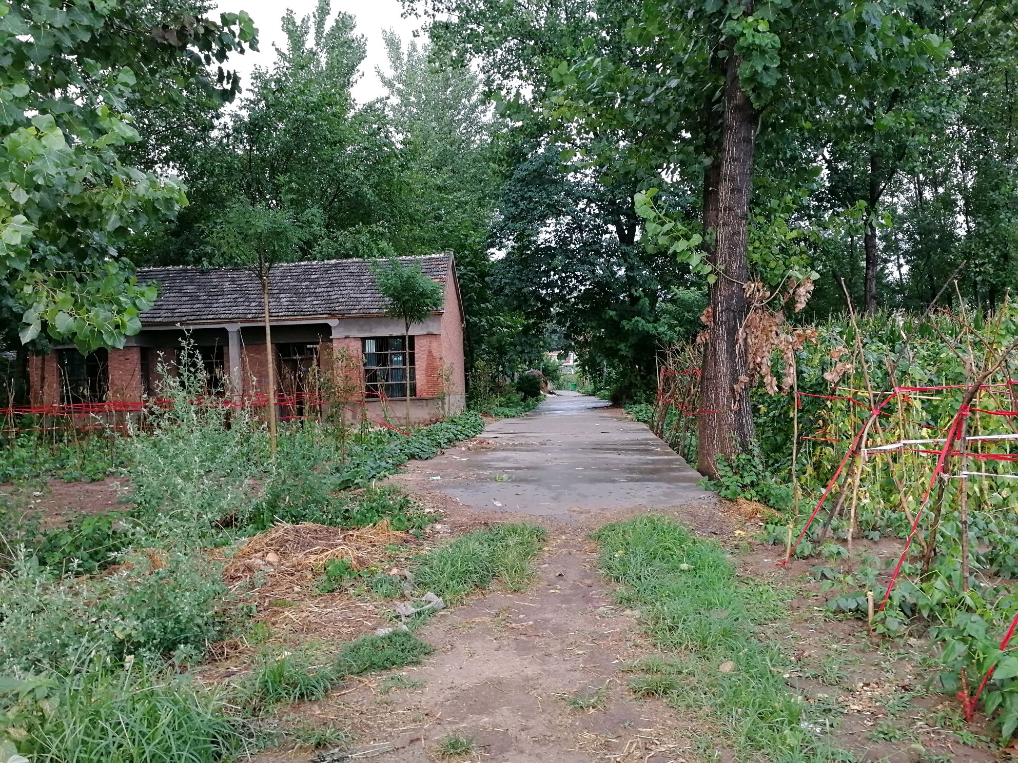 村级六清六净环境整治方案,七州市农村环境整治
