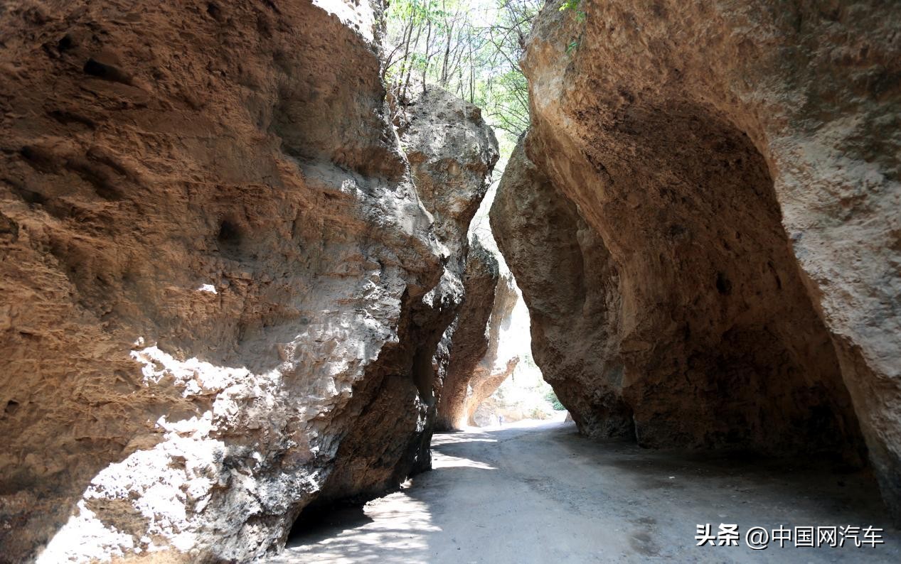 24款雷克萨斯rx专业试驾,沉浸式试车雷克萨斯rx