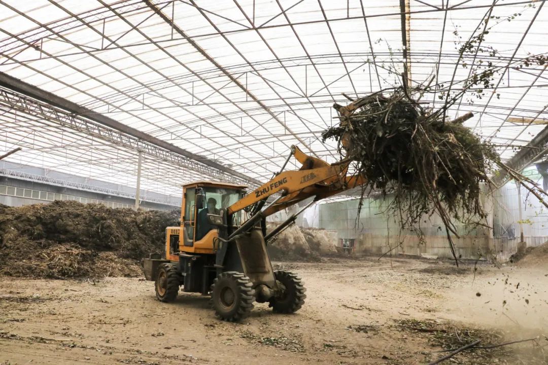 园林垃圾怎么变成肥料,园林绿化垃圾与花卉绿植