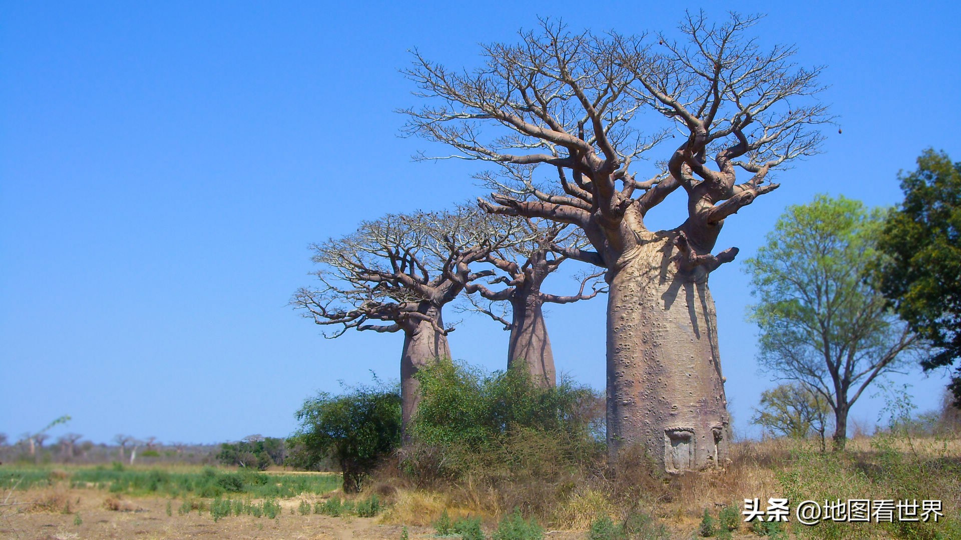 2022年世界杯参赛国家排名,世界国家趣谈