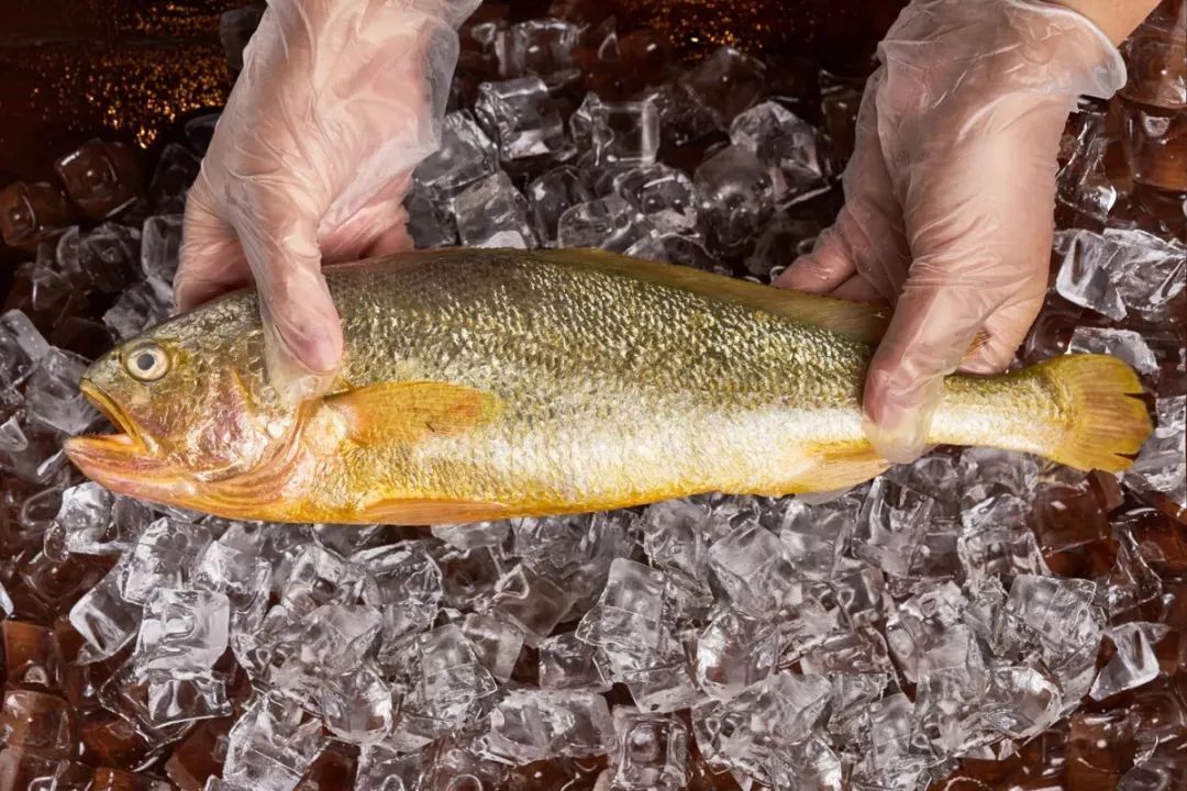 宁德摄影人的好去处,宁德摄影圣地