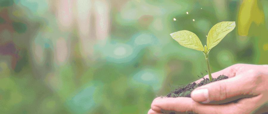 家电行业盈利模式分析案例,家电行业融资现状