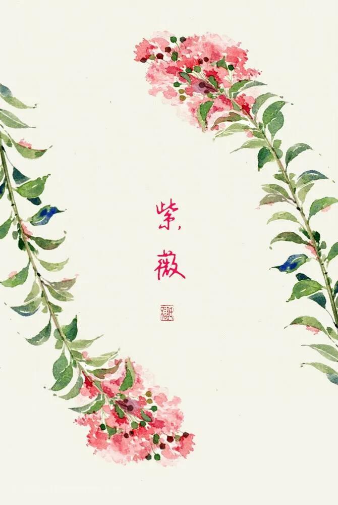 紫薇花壁纸高清全屏,唯美紫壁纸