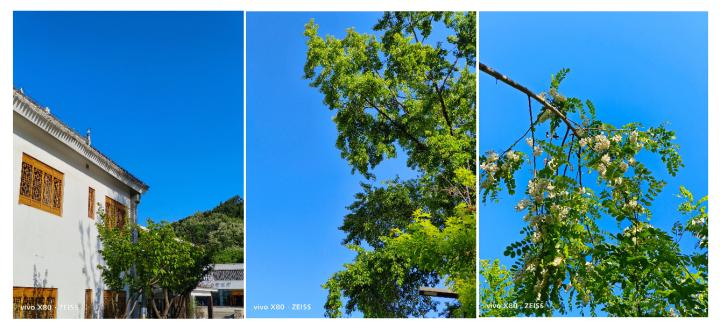 vivox80用了一个月真实感受,vivox80用后感受如何