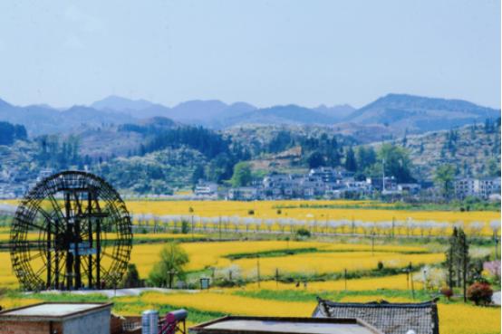 贵州文旅知识趣味挑战大赛决赛,贵州文旅知识趣味挑战大赛奖品