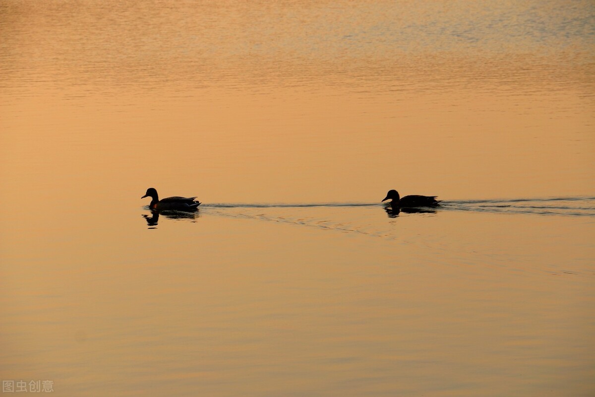 四逆散加减治疗抑郁症奇效医案,桂枝汤合四君子汤治疗抑郁