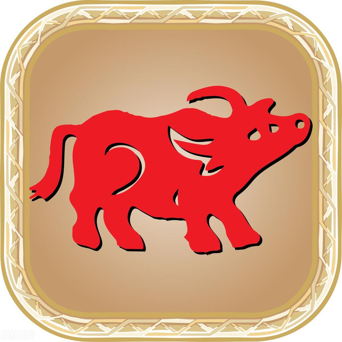 生肖牛2024每个月运势,生肖牛2023年下半年运势