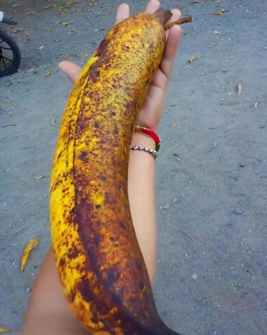 世界最罕见的女人图片高清,最罕见的30张照片女性