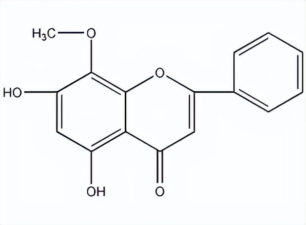 汉黄芩素纳米颗粒功能化钛/锶微纳结构界面能否促骨质疏松骨折？