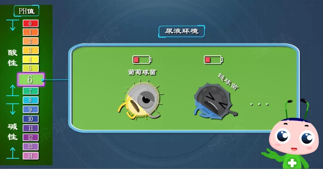 龟包皮炎用什么药,龟包皮炎