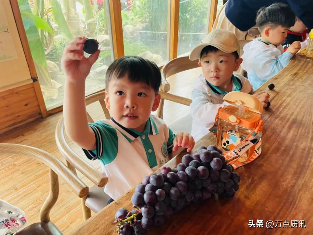 展才艺、练市场、摘葡萄、看电影…幼儿园“六一”主题周精彩回眸