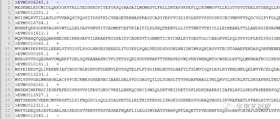 TBtools|基因家族分析,进化树、Motifs、结构域