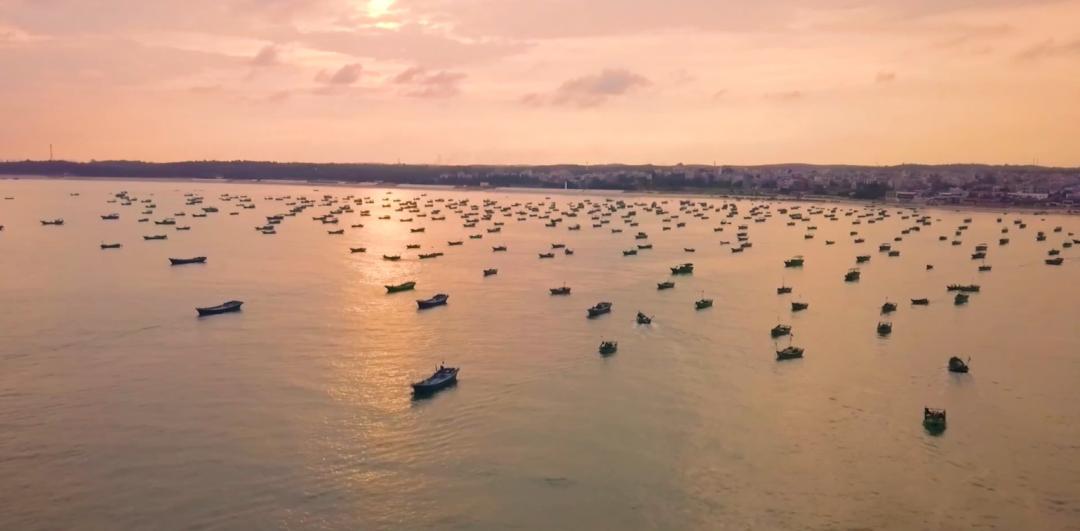 80后小夫妻直播4小时卖出300单,90后小伙创业卖海鲜背后的辛酸